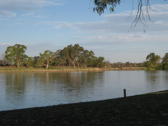 "Murray River" in "Waikerie"