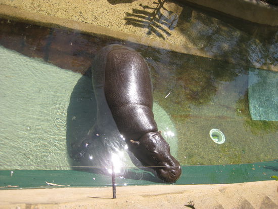 nur fuer dich, Mommy 