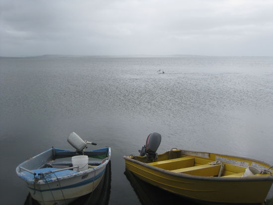 See bei unserem Campingplatz in "The Entrance"
