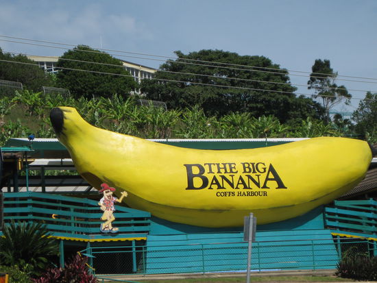 Das Wahrzeichen von "Coffs Harbour"
(im Hintergrund ne Bananenplantage)