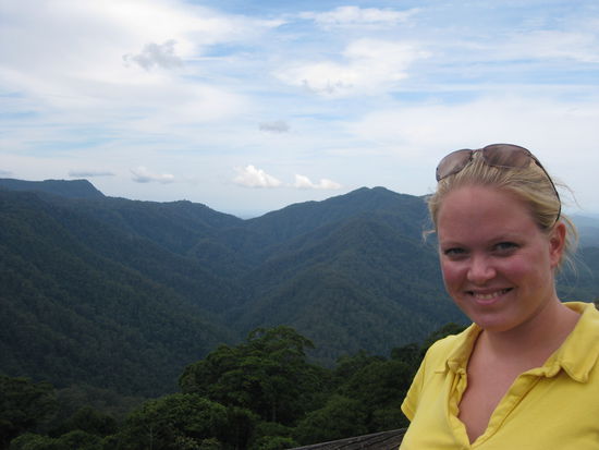 Aussicht von dem Lookout vom "Tree Top Walk" in dem "Rainforest-Center"