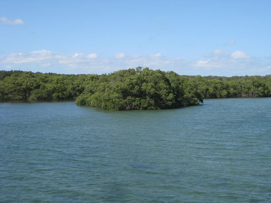 Fluss am Campingplatz in "Brunswick Heads"