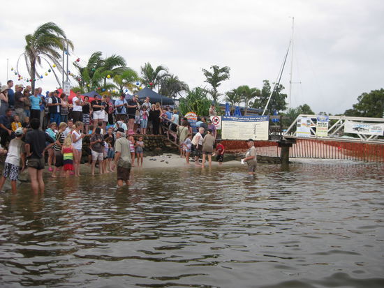 Delfine fuettern an der "Tin Can Bay"