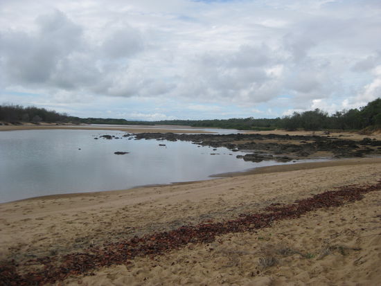 Strand in "Tannum Sands"