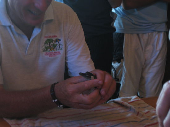 Chef von der Krokodilfarm laesst ein Baby aus nem Ei schluepfen 