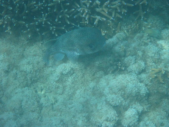 Unter Wasser
-
*blub*