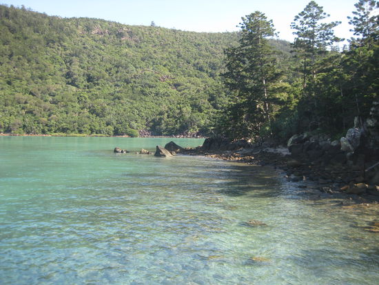 Kueste vor "Hook Island"