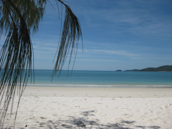 Fantastisch, oder?!?