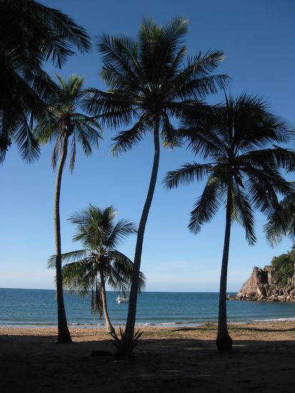 auf "Magnetic Island" - "Radical Bay"