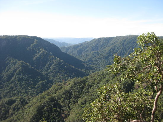 um die "Wallaman Falls" herum