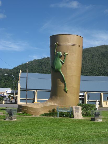 riesen "Gumboot" in "Tully" - die spinnen, die Australier 