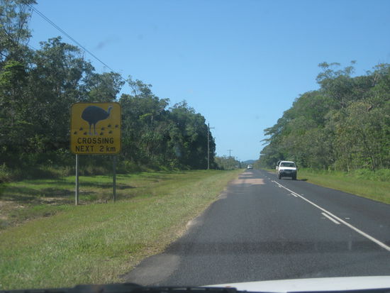Achtung: keine "Cassowaries" umheitzen!