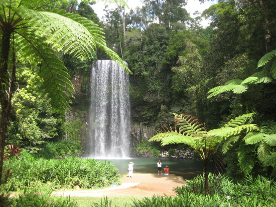 "Millaa Millaa Falls" - da konnte man sogar drin schwimmen!!