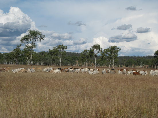 Eindruck von Unterwegs