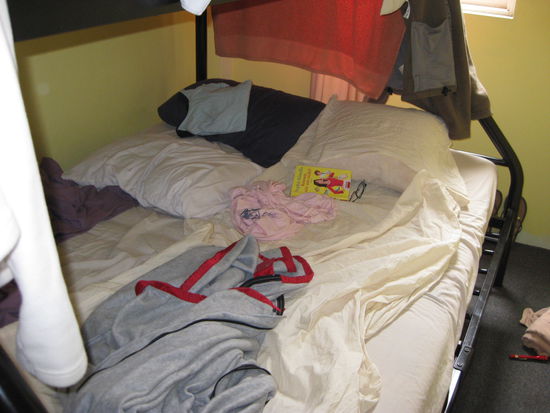 unser erstes kleines Nest