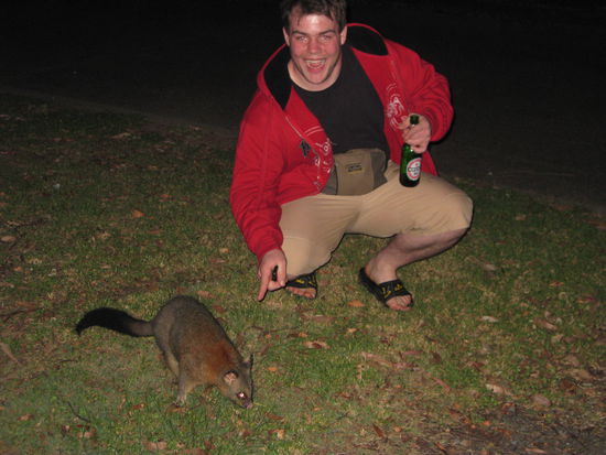 "Guck mal, ne Katze!"
(Naja, eher ein Possum!) 