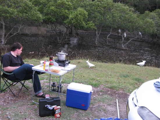 Unser Platz im "Royal-National-Park"
Micha am Nudeln kredenzen und umringt von Kakadus 