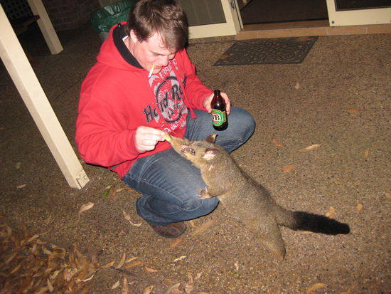 Micha wird mutiger beim "Katze" fuettern
