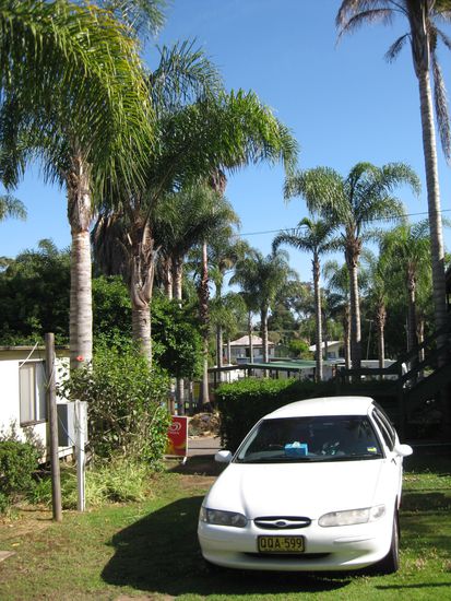 Der YHA-Campingplatz in Batemans Bay... Ohja - man beachte die Palmen! Sommer wir kommen 