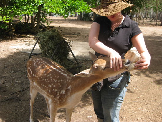 Jaja, die miesen "Deers"
...dieses hat sowieso ein Schatten. Es haelt sich fuer ein Kangeru, weil es mit denen aufgewachsen ist 