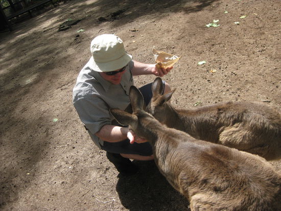 jaja, es wird immer professioneller!!