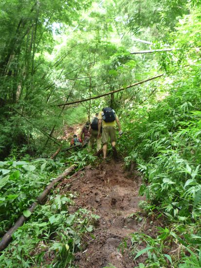 Bei der Wanderung ging es ziemlich  steil aufwaerts und befestigte Wege gabs NIE...