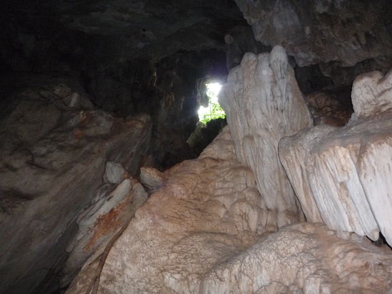 Dies war der einzige Lichteinfall und dort oben flogen und hingen Fledermauese.