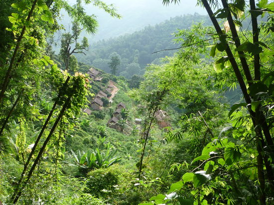 Nach weiteren 2 Stunden bekamen wir den ersten Blick auf unser Dschungel-Hotel!