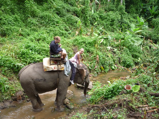 Fuer 45min gings hoch und runter und durch Baeche . Waehrend Ines den Elefanten leitete vergnuegte sich Hannes hinter ihr mit Katrin...