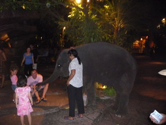 Auch hier, extra fuer die kleinen Pauschaltouristen kann man fuer ein paar Bath Elefanten mit Bananen fuettern.
