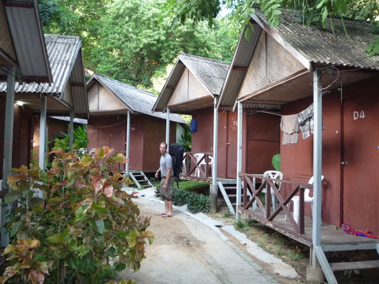 Und wieder bezogen wir eine Huette am Meer. Dahinter war nur Wald, was uns  traumhafte Urwaldgeraeusche aber auch netten Kleintierbesuch bescheerte.