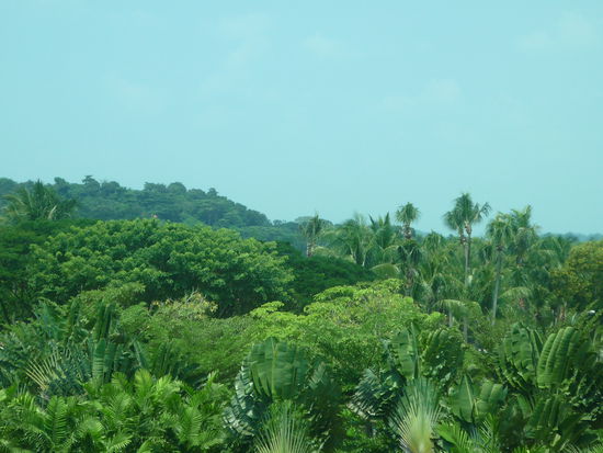 Unser erster Eindruck war “Wow- schoene Natur!”