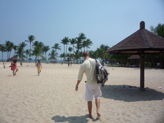 Achtung ihr Singapur- Poser, hier kommt Hannes und zeigt euch mal wo beim Pavian die Hupe haengt!