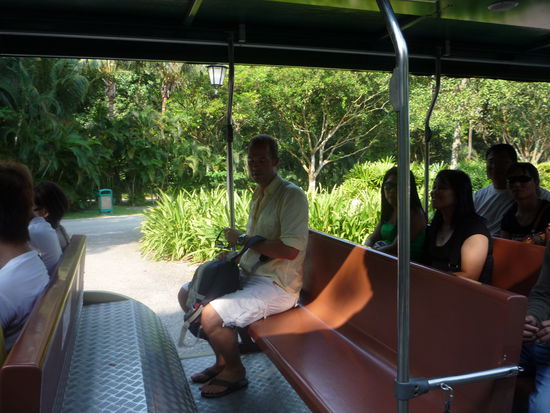 Mit einer Bimmelbahn, die auf der Insel kostenlos ist, bummelten wir zum “Café del Mar” am anderen Ende der Insel.