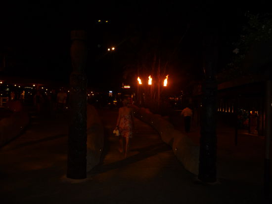 Die Nacht-Safari ist hier wirklich ein Erlebnis. Die Wege sind von Fackeln gesaeumt und man hoert schon am Eingang einige Tiere des angelegten Regenwaldes.