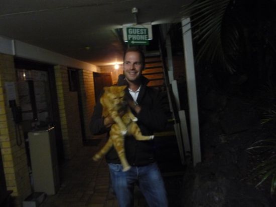 Fast haetten wir noch diese Mega-Hostel-Katze mitgenommen. Die Katzen hier, wie fast alle Tiere, sind VIEL groesser als in Dt.