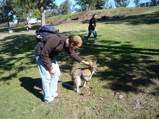 Mmmmmhhhh so eine Massage tut schon gut, ne?