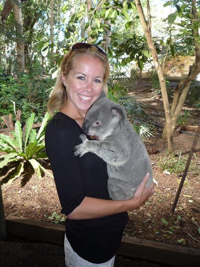 Dieses kleine Koalamaennchen kam einfach so auf Ines' Arm- ok, hat doch 15 Dollar gekostet!