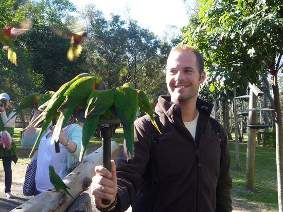 Zum Abschluss nahmen wir an der Papageienfuetterung teil. Diese fidelen Piepmaetzchen haben wirklich jede Scheu vor Menschen verloren...oder einfach nur Hunger!