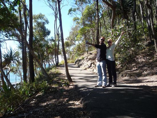 Bei der Wanderung durch den Noosa Nationalpark sahen wir zuerst einen Koala und echten Regenwald.