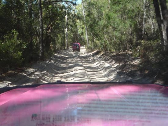 Auf Fraser merkten wir gleich warum wir 4Rad-Antrieb brauchten. Denn die Strassen waren Sandpisten.