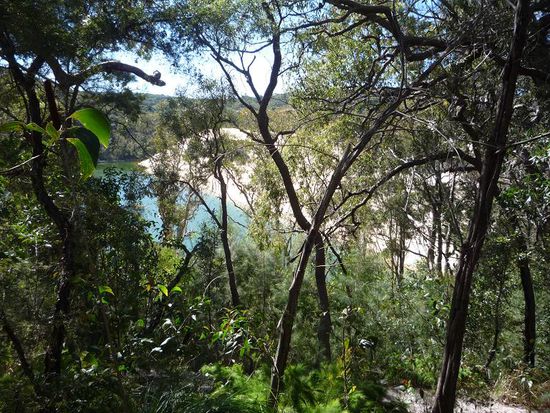 Nach ca. 1h sahen wir ihn...