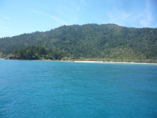 Nach nur knapp ner Stunde bekamen wir den ersten Strand einer der 74 Whitsunday Islands zu sehen.