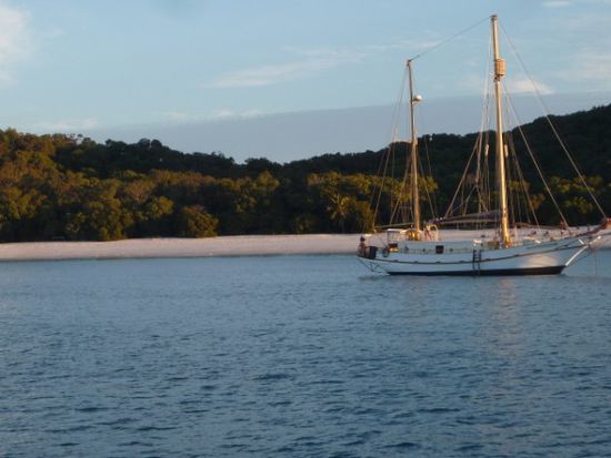 Und auch wir bekamen einen schoenen Blick auf den Whithaven Beach, den wir am naechsten Morgen noch genauer kennenlernen sollten.