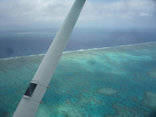 Weiter nordwaerts erreichten wir schliesslich ein groesseres Riff, das wirklich eine Welt fuer sich ist. Als gaebe es eine feste Grenze aenderte sich die Farbe des Meeres von tief-blau in tuerkis.