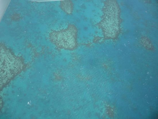 Unsre favorit reef&gt; The heart reef....Sweeeet!