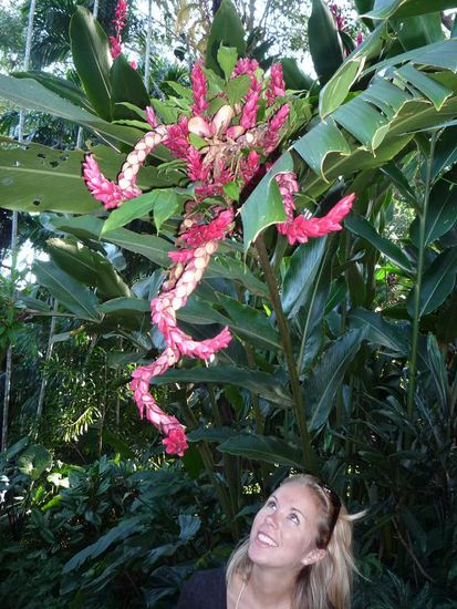 Der hatte viele besondere Blumen zu bieten.