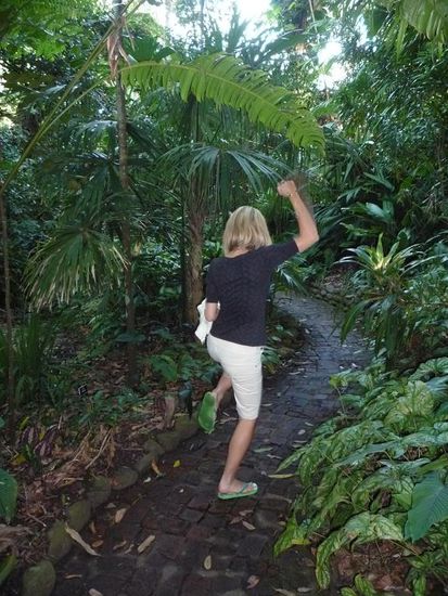 Rock the jungle...yeah!