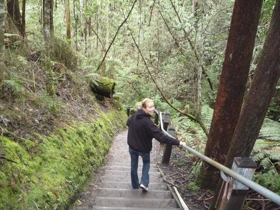 Als naechstes steuerten wir den landeinwaerts liegenden Euskin-Wasserfall an.