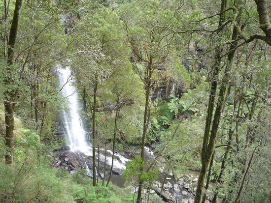 Das ist das Prachtstueck! Nicht ganz so gross wie der bei Ingham...